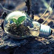 Electric bulb which symbols as business electricity saving